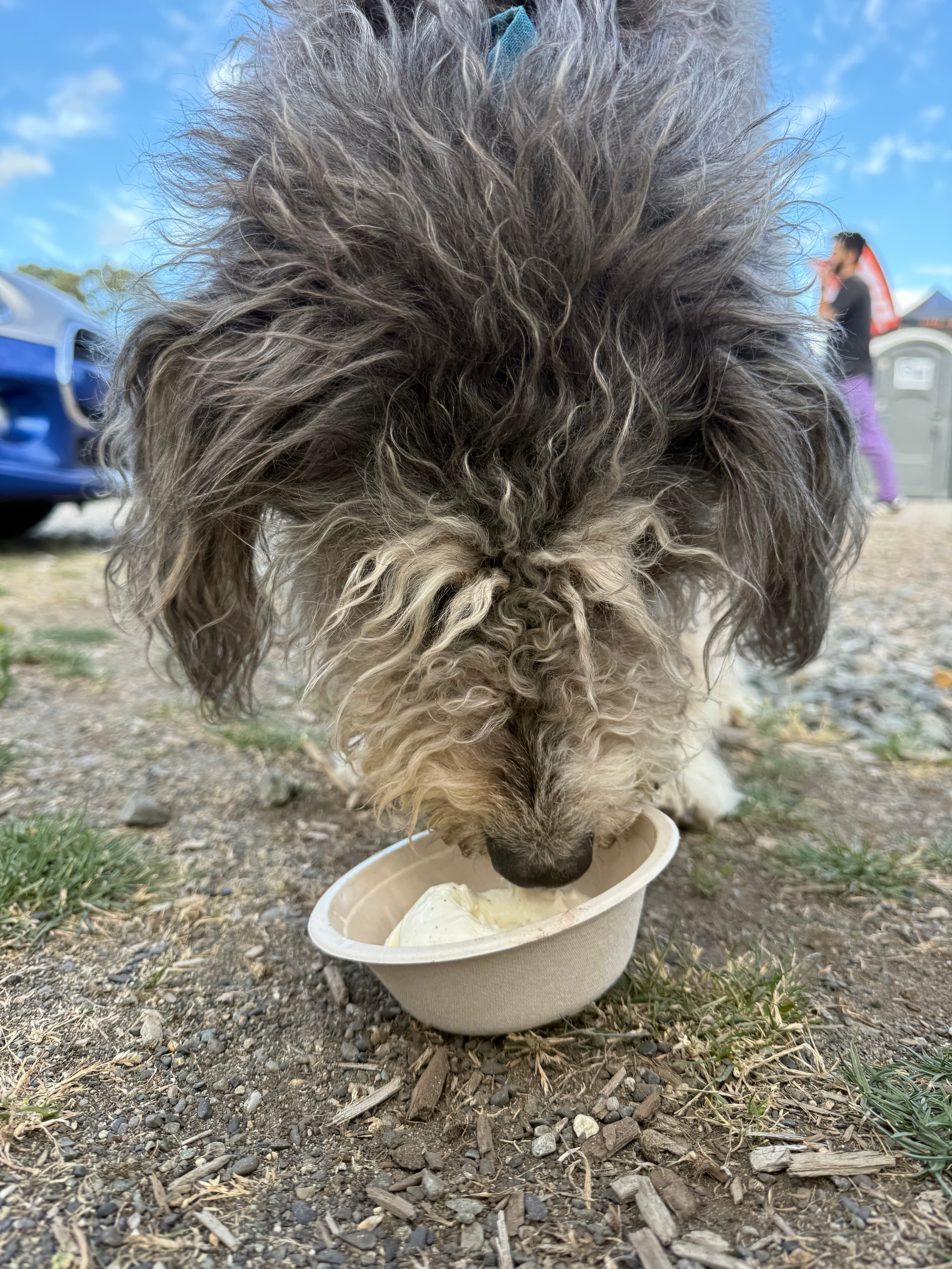 Kiwi's Cones — fresh fruit soft serve